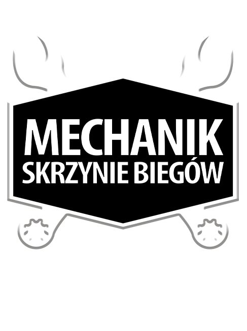 Mechanik Skrzynie Biegów